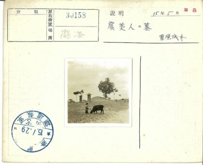 田野牧牛与石柱风景.jpg