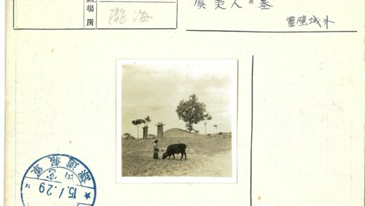 田野牧牛与石柱风景.jpg