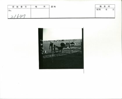 田野牧牛与远方小屋.jpg