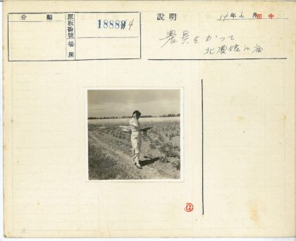 田野白衣人遮阳行走.jpg