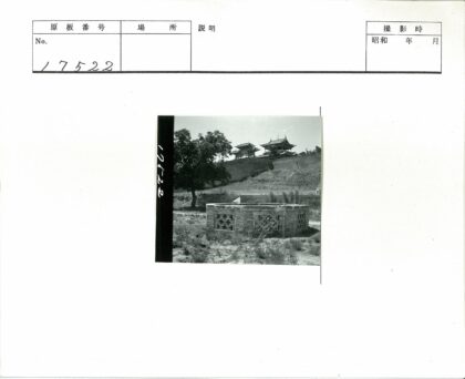 田野砖井与树顶古建.jpg