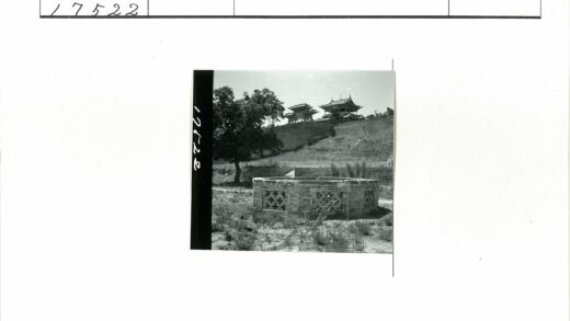 田野砖井与树顶古建.jpg