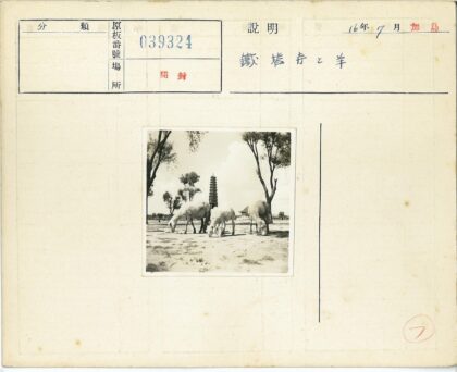 田野绵羊与远方宝塔.jpg