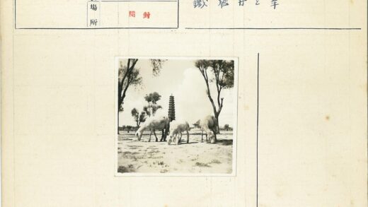 田野绵羊与远方宝塔.jpg