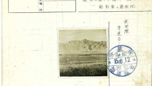 田野绿植与远山晴空.jpg