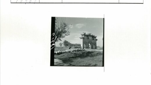 田野羊群与拱门风景.jpg