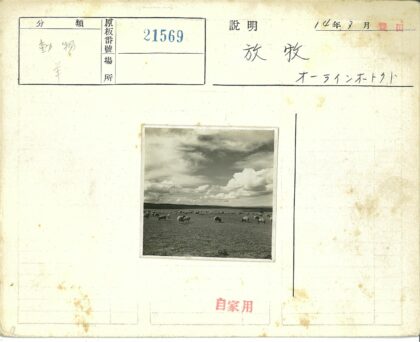 田野羊群与散云风光.jpg