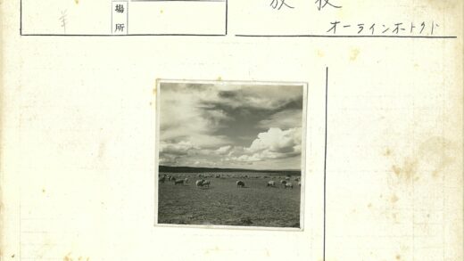 田野羊群与散云风光.jpg