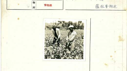 田野花海中的两个男人.jpg
