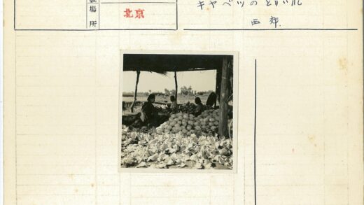 田野茅屋与卷心菜堆.jpg