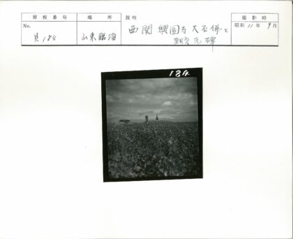 田野远塔行人风光.jpg