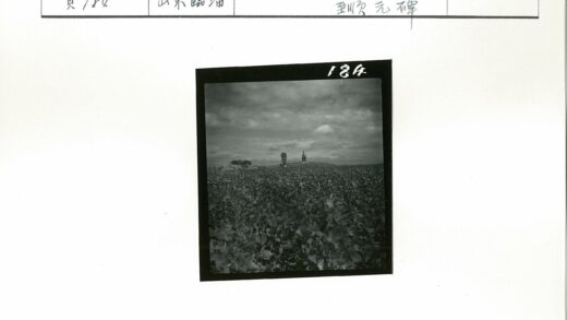 田野远塔行人风光.jpg
