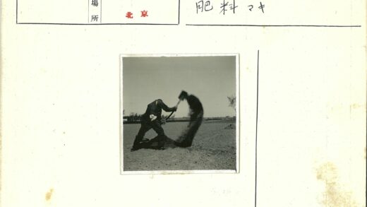 田野铲土劳作晴空树影.jpg