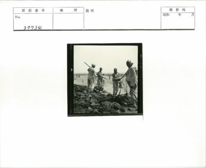 田野集体农耕劳作.jpg