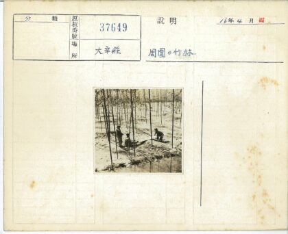 田间劳作与竹林风光.jpg