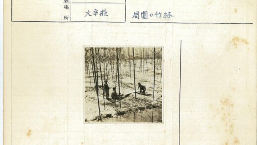 田间劳作与竹林风光.jpg