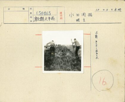 田间劳作与跟随的人群.jpg