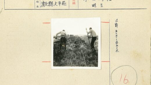田间劳作与跟随的人群.jpg