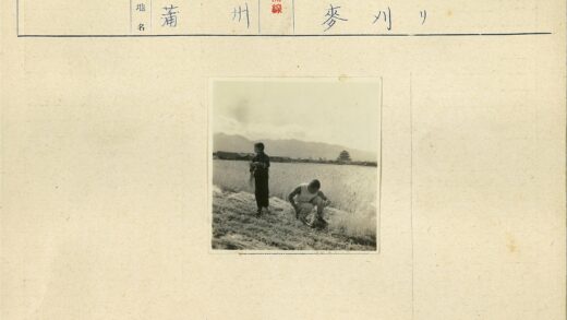 田间劳作与远山宝塔.jpg