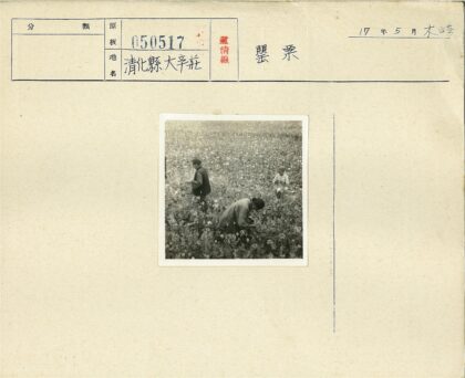 田间劳作的三人.jpg
