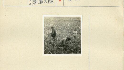 田间劳作的三人.jpg