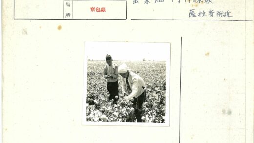 田间劳作花丛中.jpg