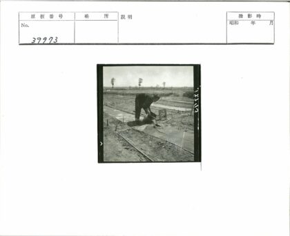 田间浇水的农人.jpg