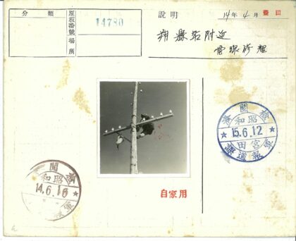 电工高空作业架设电线.jpg