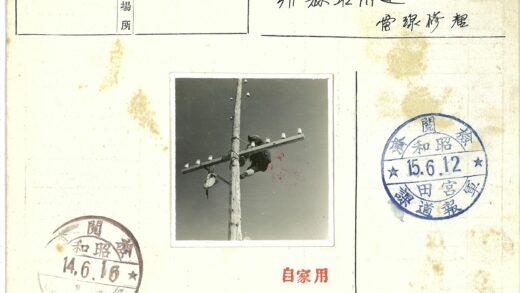 电工高空作业架设电线.jpg