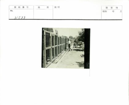 男子与动物笼子工作场景.jpg