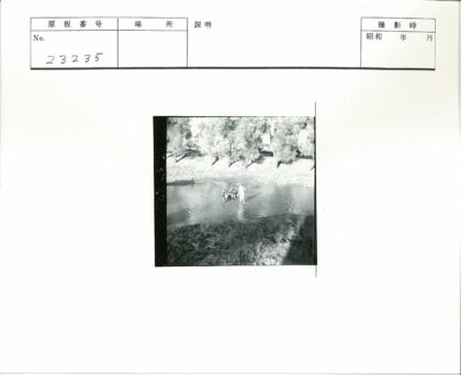男子与狗在浅水区嬉戏.jpg