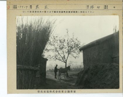 男子与驴在乡村树下.jpg