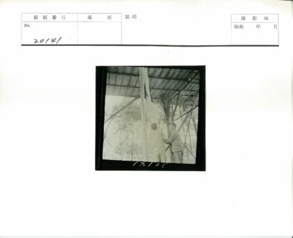 男子建筑物下升旗树木背景.jpg