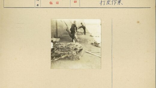 男子户外处理兽皮工作照.jpg
