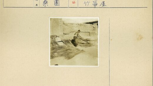 男子户外编织芦苇工作.jpg