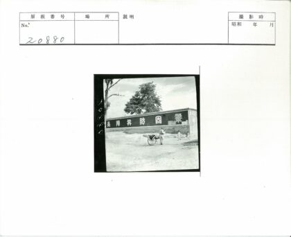 男子拉车孩子随行林荫小路.jpg