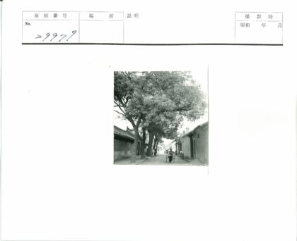 男子推车穿行传统街道.jpg