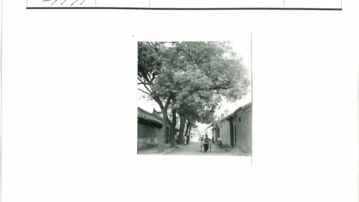 男子推车穿行传统街道.jpg