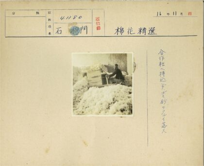 男子操作木制棉花机.jpg
