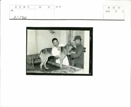 男子照料毛巾裹着的德牧.jpg
