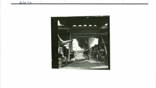 男子牵驴走过林荫市场街.jpg