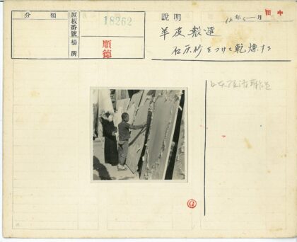 男孩与晾晒布料阳光场景.jpg
