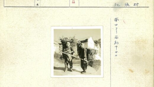 男孩户外采摘植物.jpg