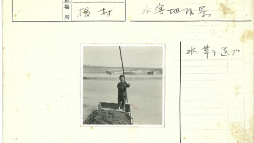 男孩持杆木船静水网景.jpg