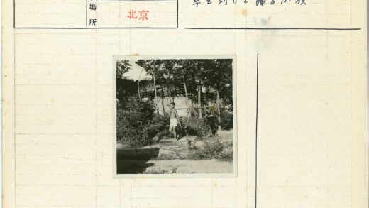 男孩树林采集植物.jpg