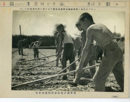 男孩田野劳作阳光树林.jpg