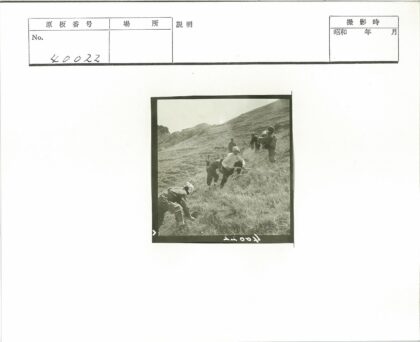 登山者穿越绿色山坡.jpg