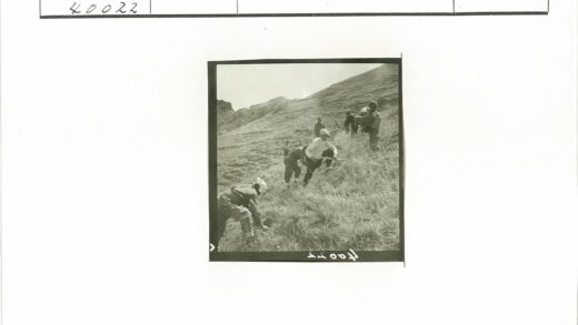 登山者穿越绿色山坡.jpg