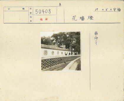 白色墙壁树木小路行人.jpg