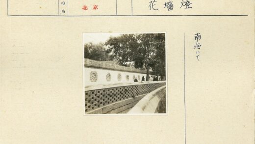 白色墙壁树木小路行人.jpg